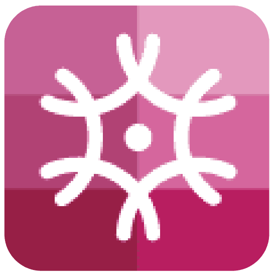 icon Decision tool 31 1