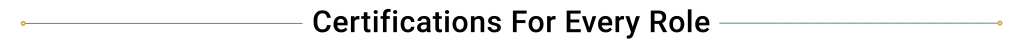 icon 21